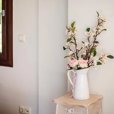 Armonia - Beachfront Majestic Retreat 度假居