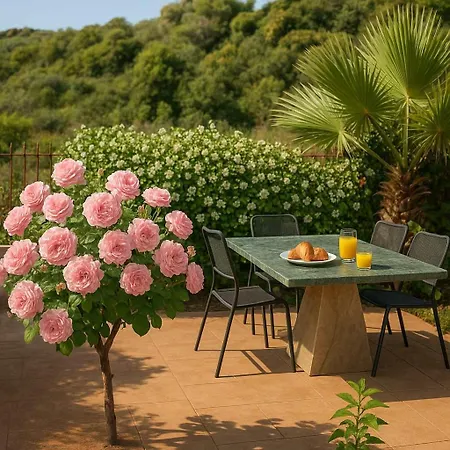 Tatil Evi Armonia - Beachfront Majestic Retreat